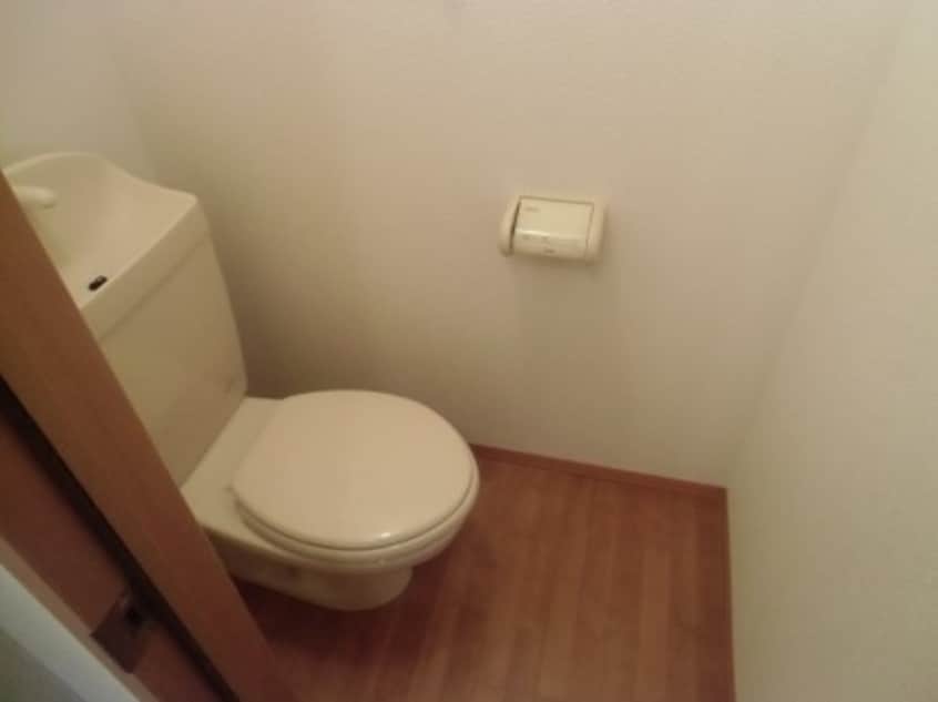  ＨＯＭ・１（エイチオーエムワン）