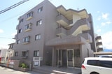 エバーグリーン池田