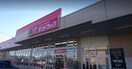 ｻﾝﾄﾞﾗｯｸﾞ 敷島店(ドラッグストア)まで870m アパートメント・フォルテ