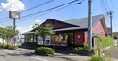 夢庵 敷島店(その他飲食（ファミレスなど）)まで899m エルドラード