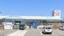 ｺﾒﾘﾊｰﾄﾞ＆ｸﾞﾘｰﾝ八田店(電気量販店/ホームセンター)まで192m コーポフジ