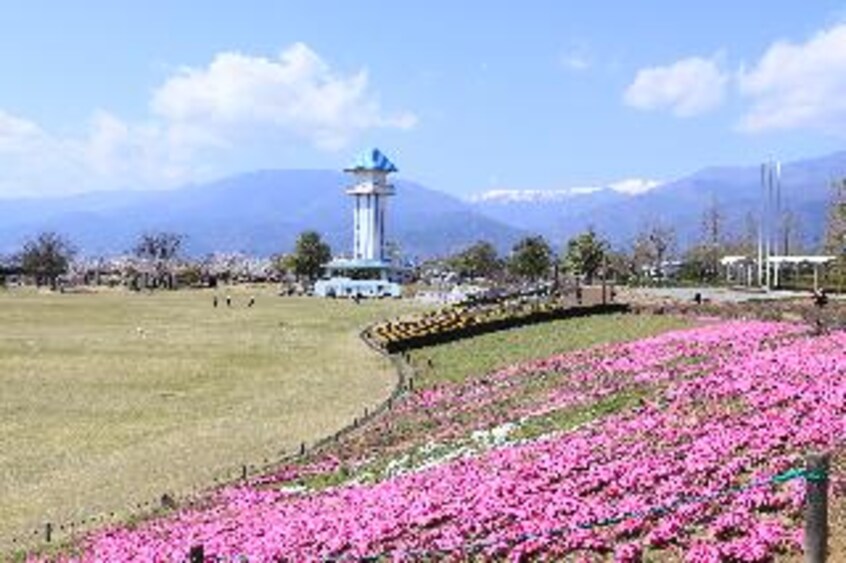 赤坂台総合公園（ﾄﾞﾗｺﾞﾝﾊﾟｰｸ）(公園)まで726m 山翡翠の杜　III