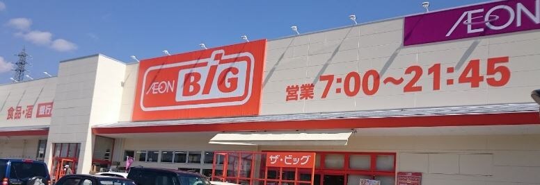 ｻﾞ･ﾋﾞｯｸﾞ 甲西店(スーパー)まで580m SHARES・m（シェアズエム）