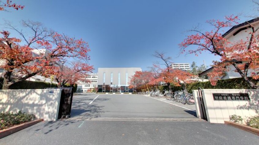 甲府看護専門学校(大学/短大/専門学校)まで542m サフィール
