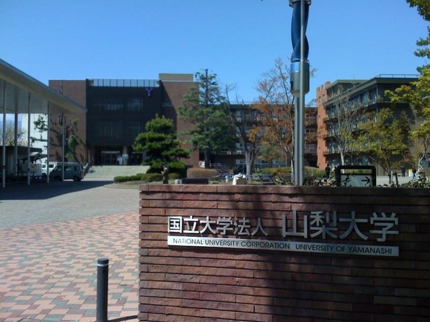 国立大学法人山梨大学(大学/短大/専門学校)まで738m ルミエール武田