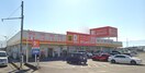 ダイレックス 昭和店(ショッピングセンター/アウトレットモール)まで370m グランデュール　レイ