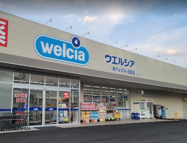 ｳｴﾙｼｱ南ｱﾙﾌﾟｽ小笠原店(ドラッグストア)まで1170m ヒルサイドテラス　B