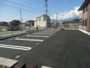  タートルドエル