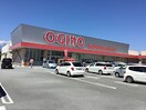 OGINO（ｵｷﾞﾉ） 西八幡店(スーパー)まで653m サンパレス
