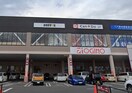 ﾄﾞﾄｰﾙｺｰﾋｰｼｮｯﾌﾟ ﾋﾞﾊﾞﾓｰﾙ甲斐敷島店(その他飲食（ファミレスなど）)まで666m 山田住宅
