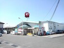 コメリ敷島店まで1300m マーベラス　Ｔ－II