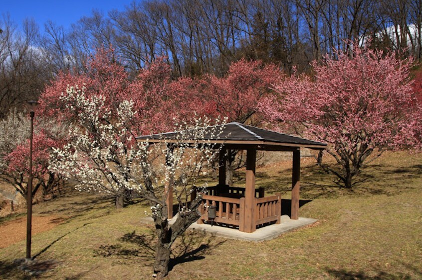 敷島総合公園(公園)まで1841m マーベラス　Ｔ－II