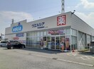 ウエルシア甲斐開国橋店まで800m ピュアハイツ白鳳II