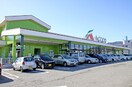 Aｺｰﾌﾟ こま野白根店(スーパー)まで590m チェリーブロッサム