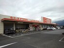 ザ・ビッグ甲西店まで1600m エレガント　ハウス　Ｋ