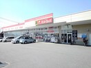 サンドラック敷島店まで700m アーバンビレッジＡ