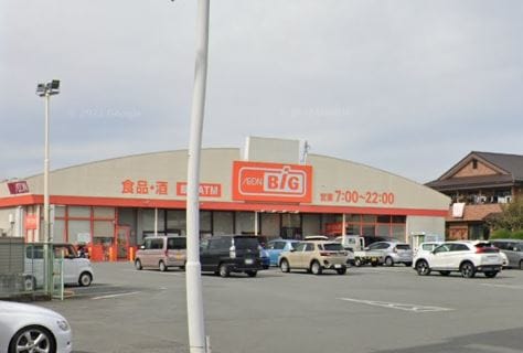 ｻﾞ･ﾋﾞｯｸﾞ 甲斐敷島店(スーパー)まで1177m リーガ双葉Ｂ