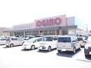 オギノ八田店まで3100m リバーウエストＢ