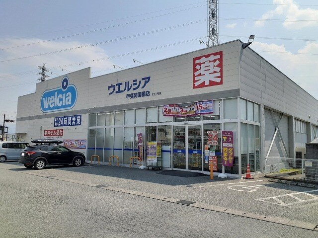 ウエルシア甲斐開国橋店まで455m エテルノＢ