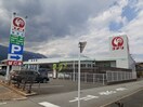 コメリ増穂店まで1500m コンフォール　エクセレンツ　II