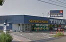 ｽｰﾊﾟｰｾﾝﾀｰ 甲府昭和店(スーパー)まで1774m ワーズ・ワース　II