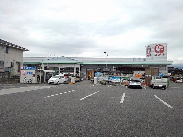 コメリ八田店まで1000m サンフォニア八田