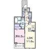 グラシアス　甲斐 1LDKの間取り