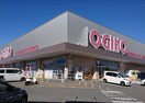 OGINO（オギノ） 国母店(スーパー)まで936m コーポTMT