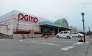 オギノ峡西店まで650m シークエストＡ