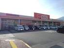 ザ・ビッグ櫛形店まで2200m シークエストＡ