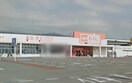 The Big（ｻﾞ･ﾋﾞｯｸﾞ） 白根店(スーパー)まで1336m カーサ・アバンツァート