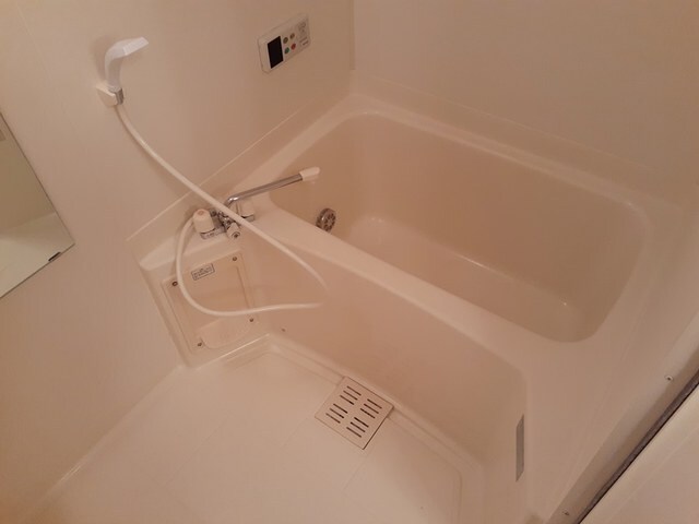  ファウンティン和泉