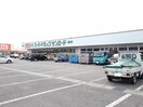 クスリのサンロード甲西店まで1200m 南プス・レジデンス