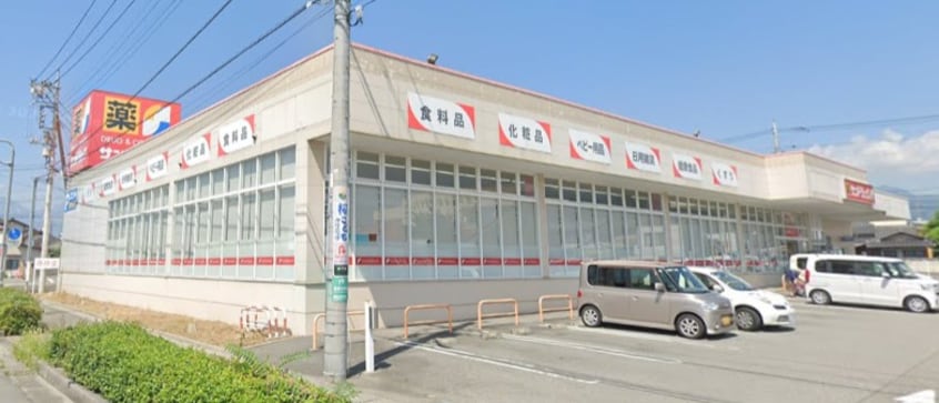 サンドラッグ 敷島店(ドラッグストア)まで1183m ビオスＢ