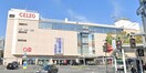 CELEO KOFU（セレオ甲府）(ショッピングセンター/アウトレットモール)まで1463m オランジュ　ショコラ