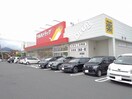 ツルハドラッグ甲府高畑店まで300m ドルチェ