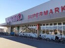 オギノ下石田店まで1300m ドルチェ