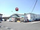 コメリ敷島店まで600m メゾンくぼた