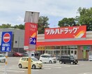 ツルハドラッグ 韮崎本町店(ドラッグストア)まで1373m ベルアルバ