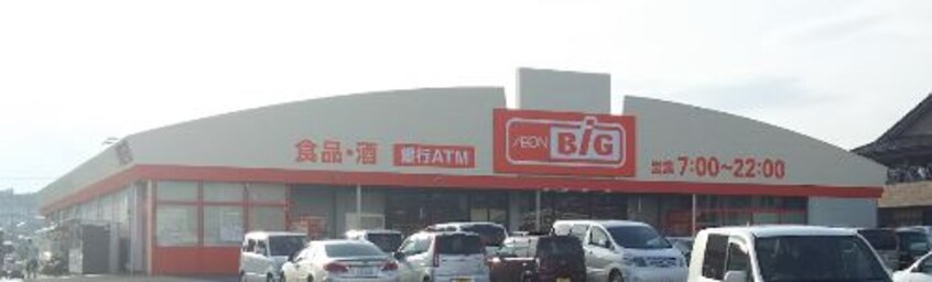 The Big（ｻﾞ･ﾋﾞｯｸﾞ） 甲斐敷島店(スーパー)まで1584m （仮称）甲斐市島上条PJ