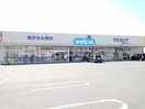 ウエルシア甲斐敷島店まで2100m ラヴィ－ヌ