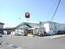 コメリ敷島店まで1800m ラヴィ－ヌ