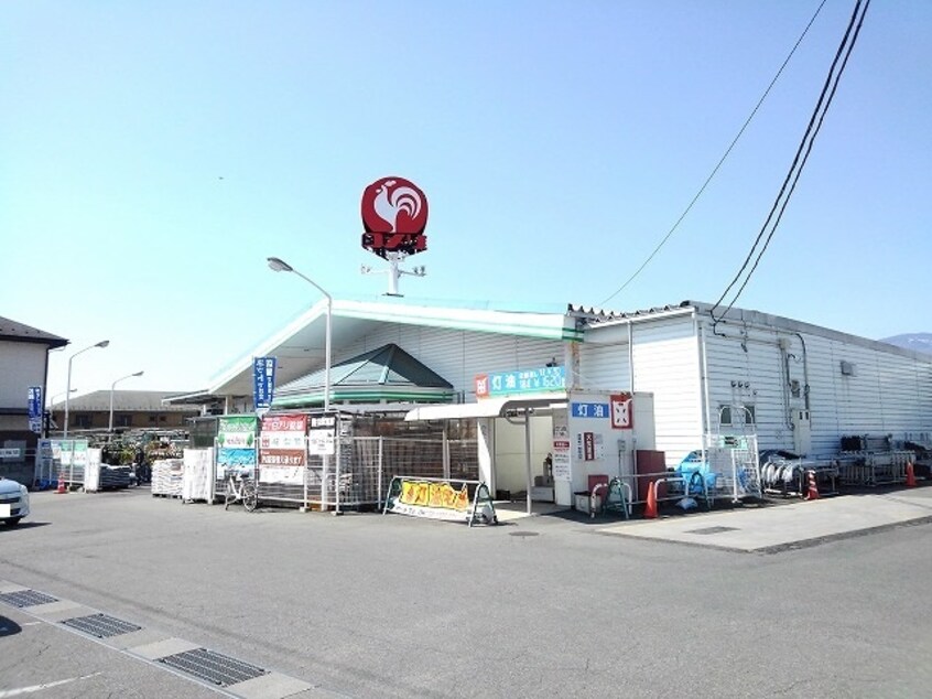 コメリ敷島店まで1800m ラヴィ－ヌ