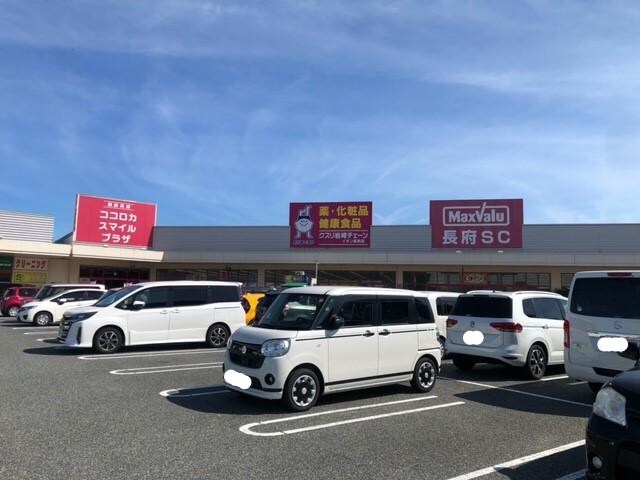 クスリ岩崎チェーンイオン長府店(ドラッグストア)まで1350m シャーメゾンシャトー