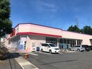 ファッションセンターしまむら熊野店(ショッピングセンター/アウトレットモール)まで813m ハイツパルファンA