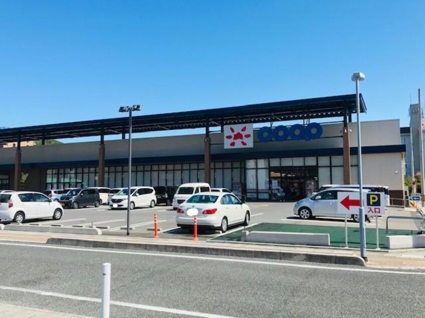 コープここと新下関店(スーパー)まで323m グランドゥール・ハイム