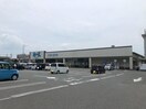 アルク長府中土居店(スーパー)まで557m シャトレーン長府