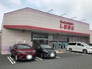 ファッションセンターしまむら安岡店(ショッピングセンター/アウトレットモール)まで357m 富任町店舗