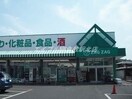 ザグザグ玉島店(ドラッグストア)まで371m サンクオーレⅡ