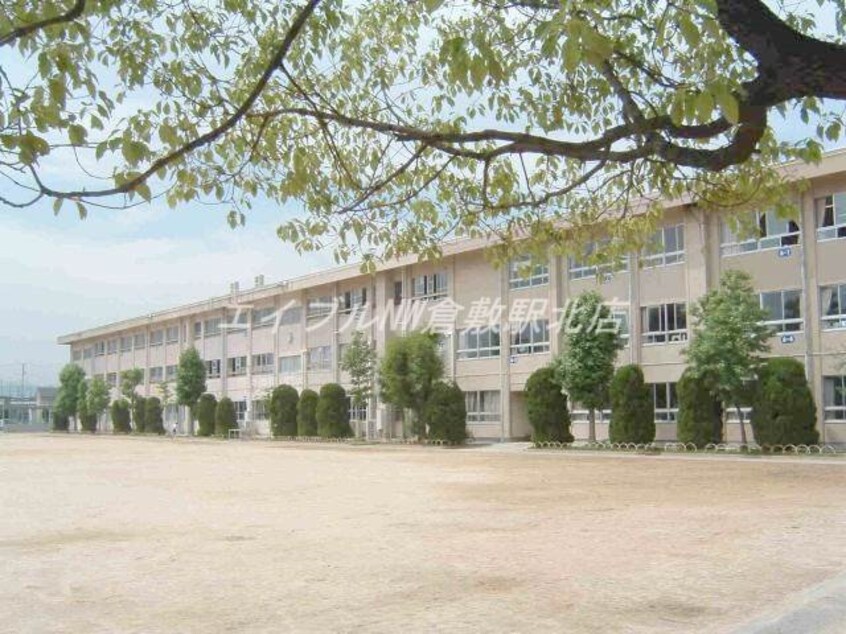 倉敷市立中島小学校(小学校)まで164m ファミーユ新町